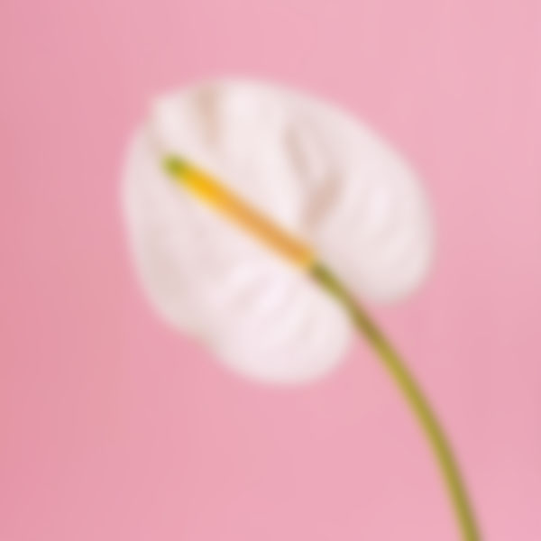 Event registration guide