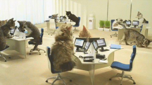 Contact Sales Animation